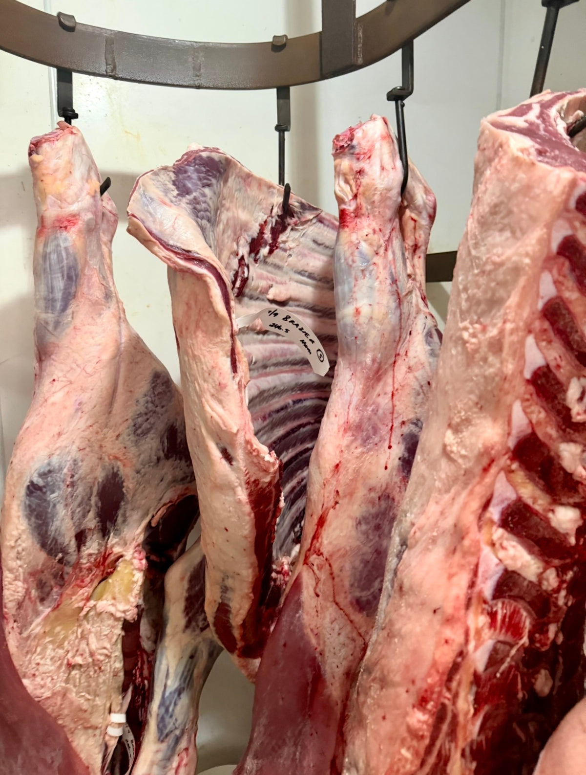 Whole Beast $18.50/kg Dressed Weight  – $500 Deposit